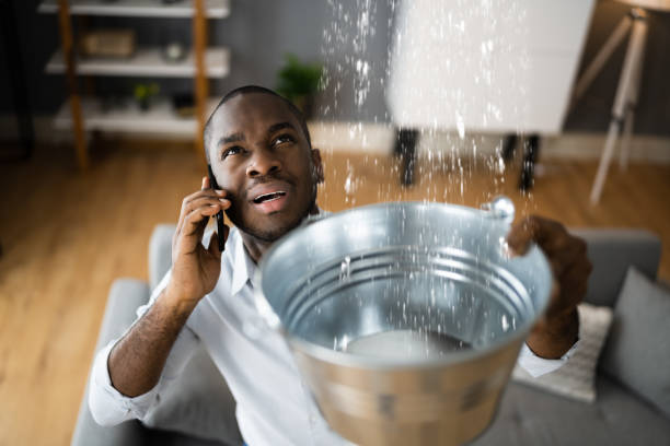 Best Ceiling water damage repair  in Obetz, OH