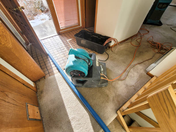 Best Emergency water damage restoration  in Obetz, OH